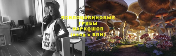 a pvp Лиски