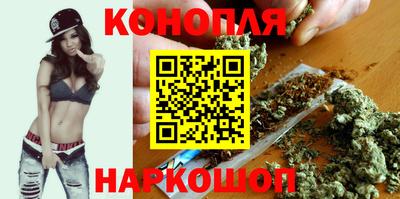 крисы Славгород