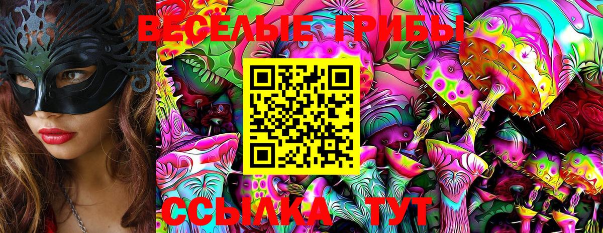 наркотики  Вход с VPN  Троицк  Галлюциногенные грибы Magic Shrooms 